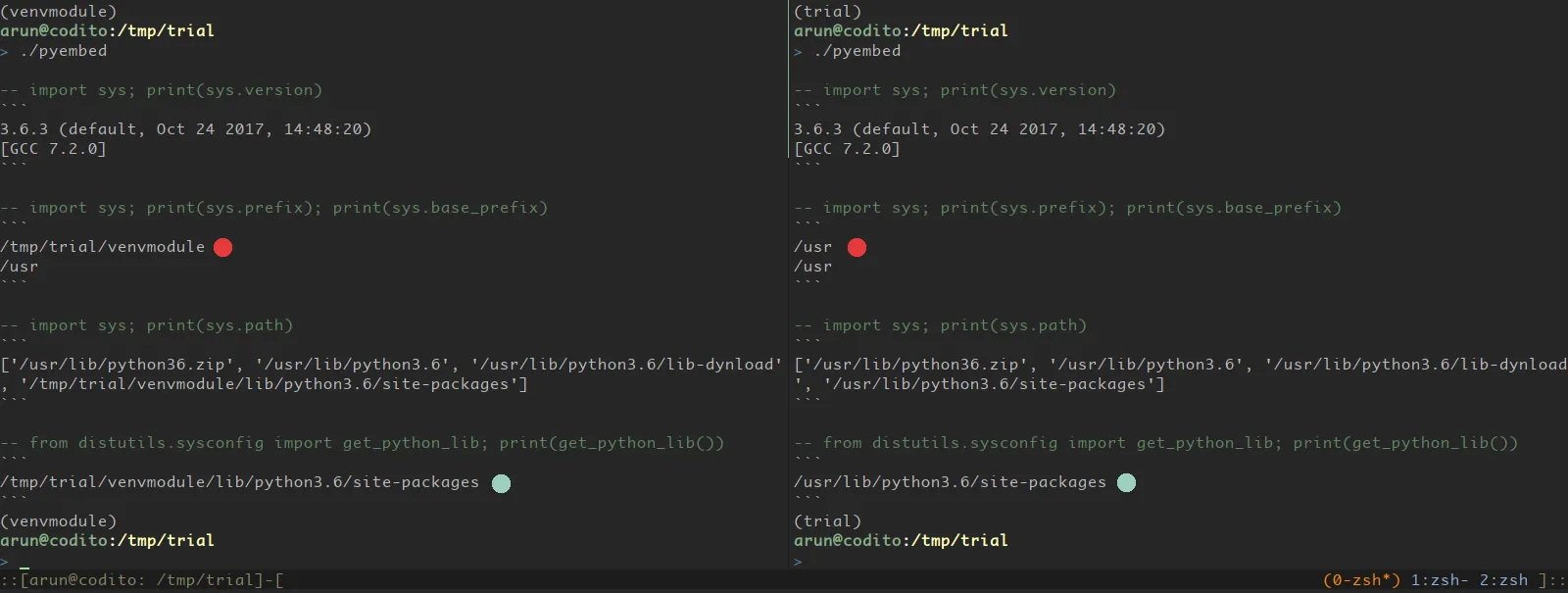 python venv experiment